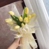 鬱金香花束 Tulip 鬱金香英文 彰化花店 台中花店