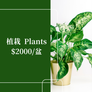 2000元植栽 (1)