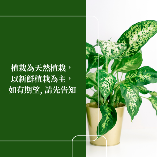 2000元植栽 (2)