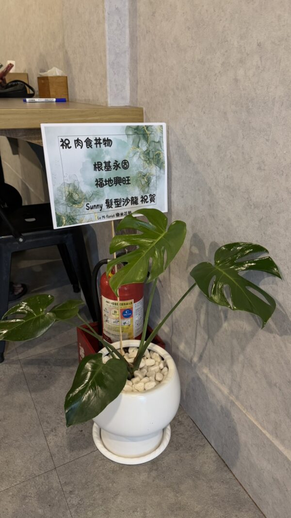 彰化開幕盆栽 便宜 質感