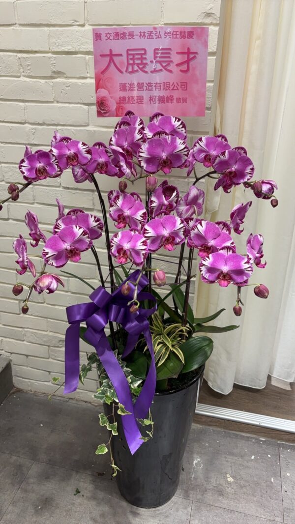 彰化蘭花 外送 開幕蘭花 開幕誌慶