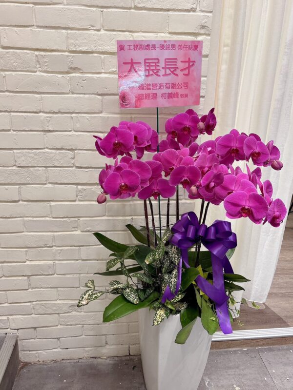 彰化蘭花 外送 開幕蘭花 開幕誌慶