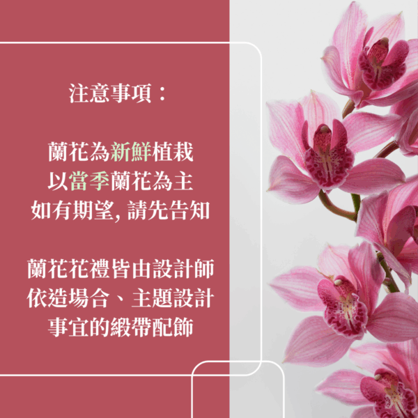 彰化 開幕賀禮 植栽 喬遷 龜背芋 琴葉榕 蘭花1