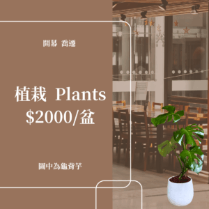 植栽2000元