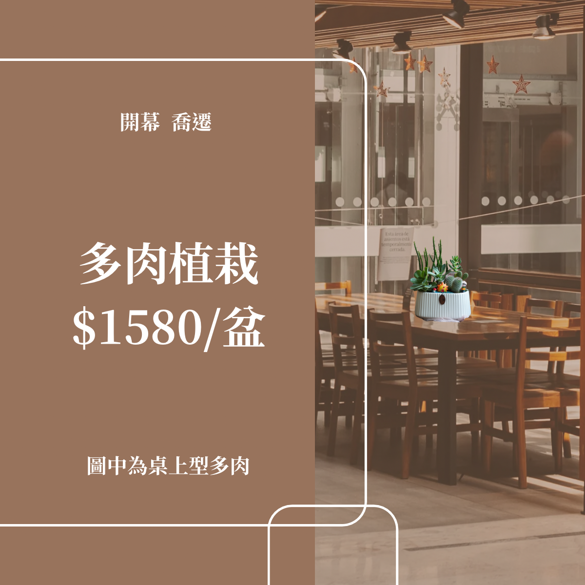 彰化市多肉植物開幕賀禮,植栽送禮